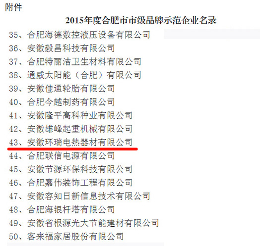 2015年合肥市品牌示范企業(yè) 2015年合肥市品牌示范企業(yè)