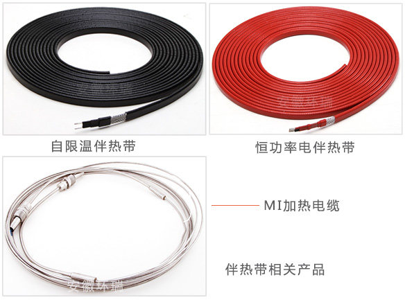 環(huán)瑞伴熱帶相關圖片