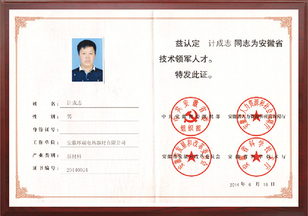 安徽省技術(shù)領(lǐng)軍人才 安徽省技術(shù)領(lǐng)軍人才