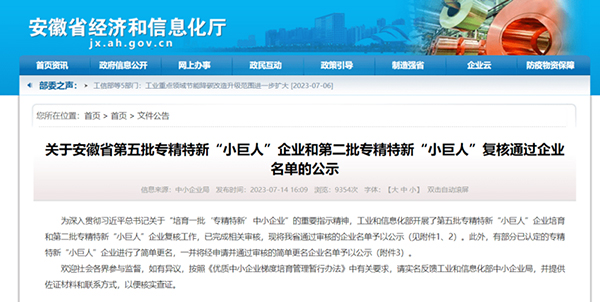 國(guó)家專精特新小巨人 國(guó)家專精特新小巨人